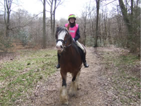 Chloe & Dolly in Common Wood